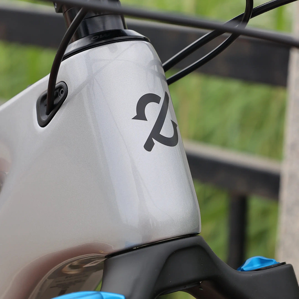 DJI Amflow PL Carbon eMTB (2026) – Silver, 800Wh