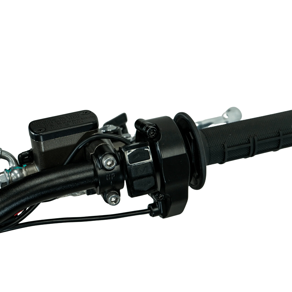 Arctic Leopard XE PRO R