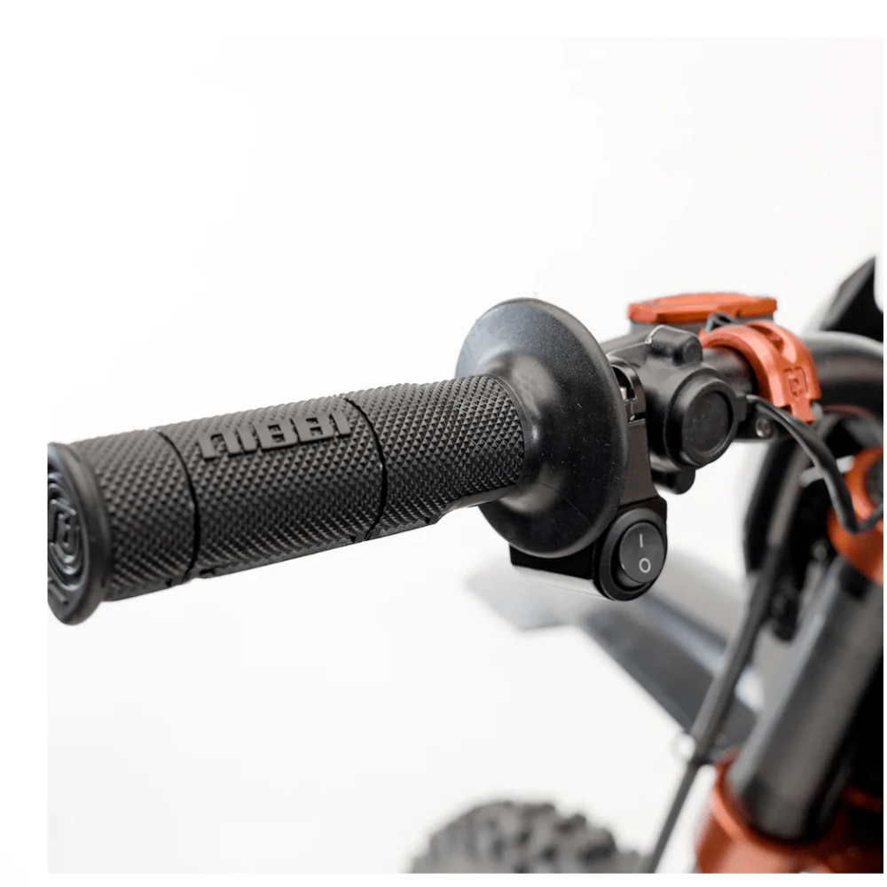 Arctic Leopard EX 800