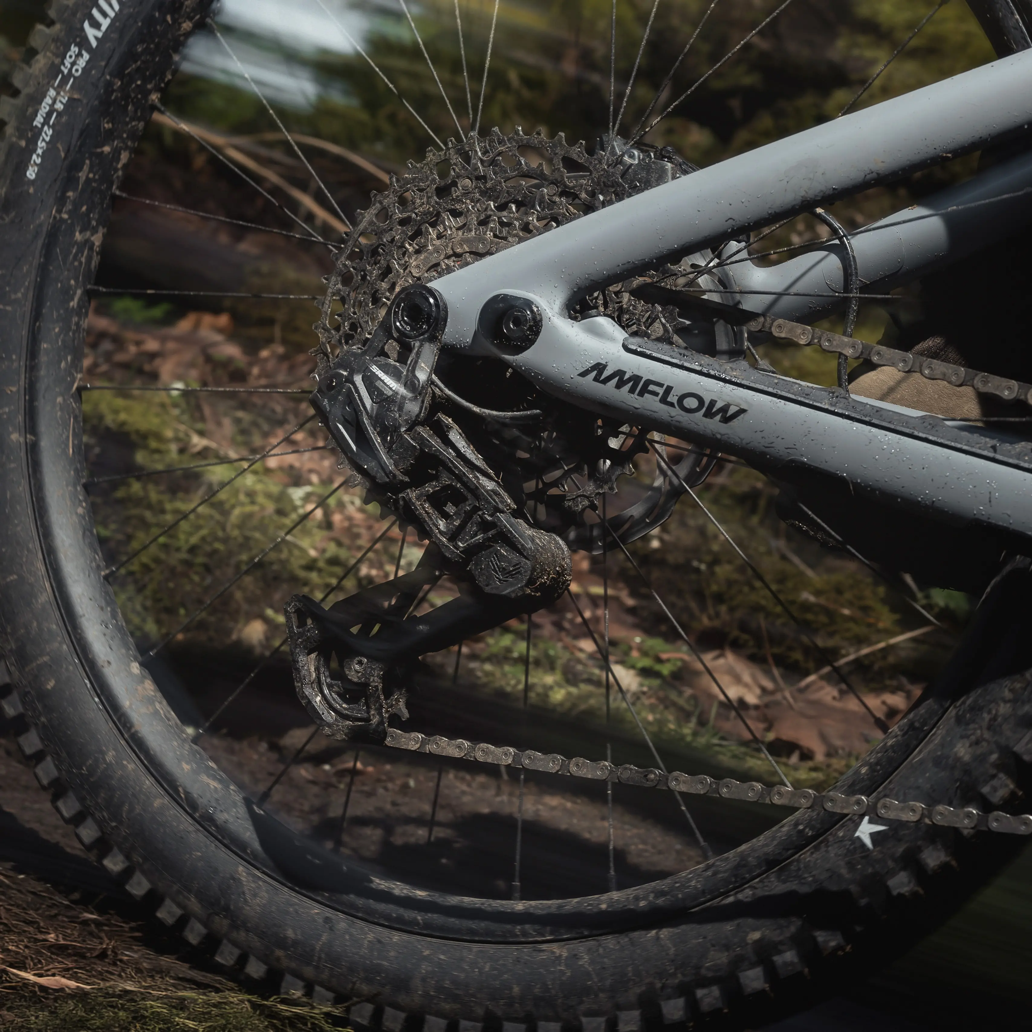 Amflow PR Carbon Pre-Order Deposit